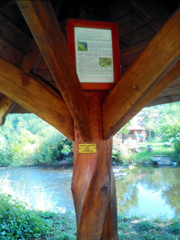 bike tour through Žamberk