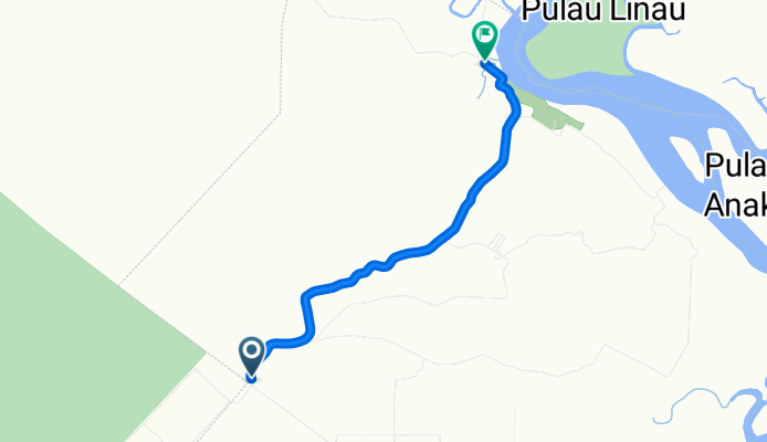 Roti Canai - Lontong