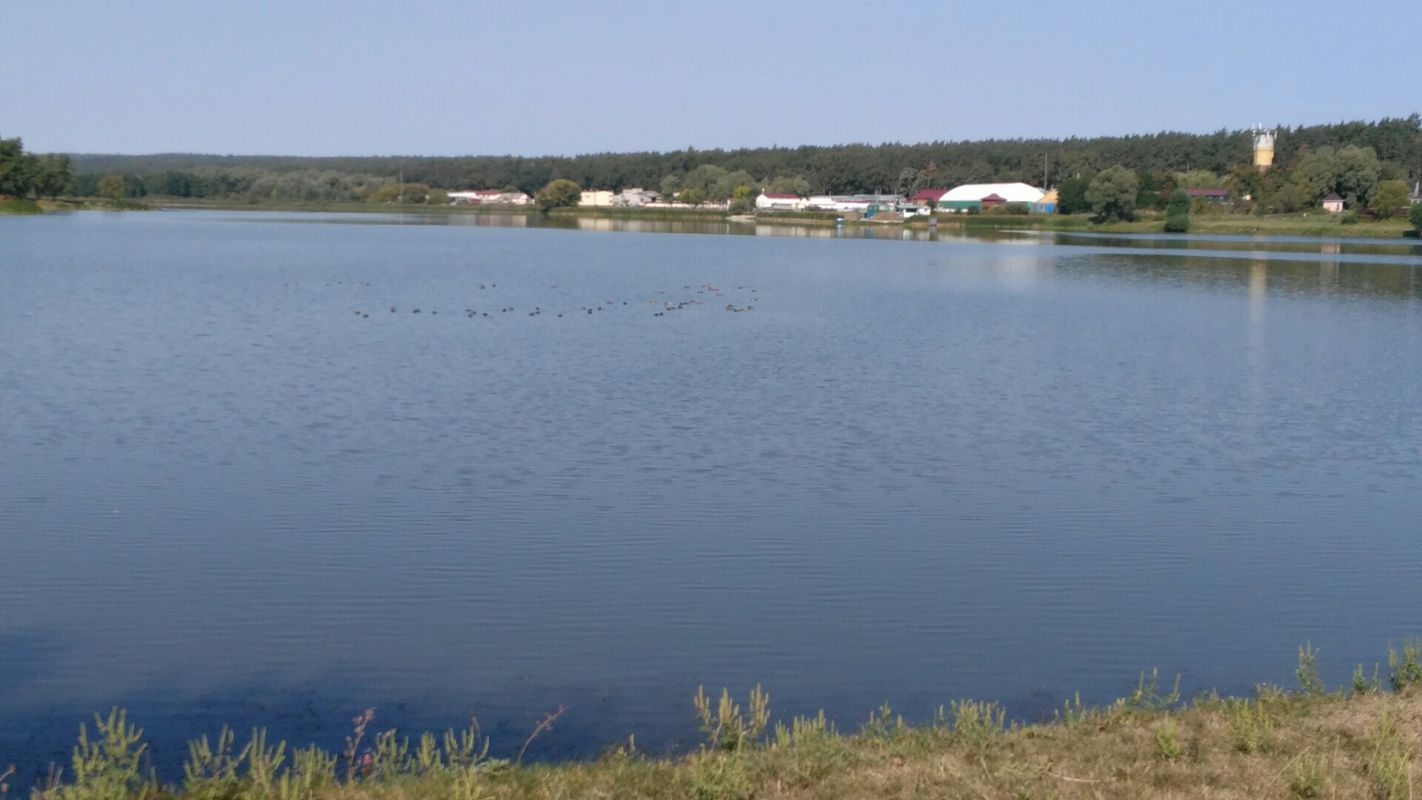 Holiday bike tour through Kyiv