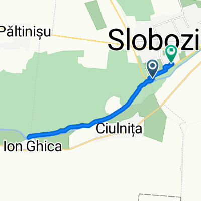 Padure Slobozia/ Sparanghel