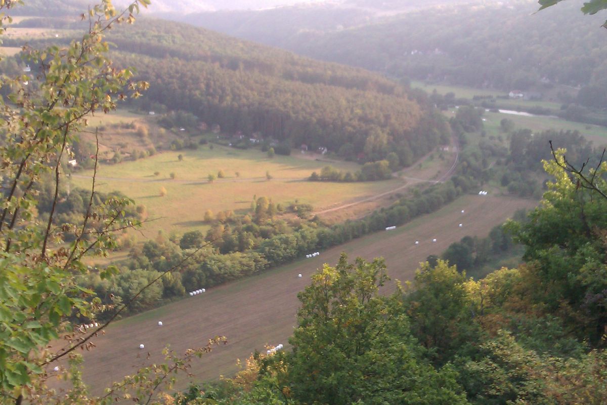 Run Krivoklat / Mestecko / Brdo