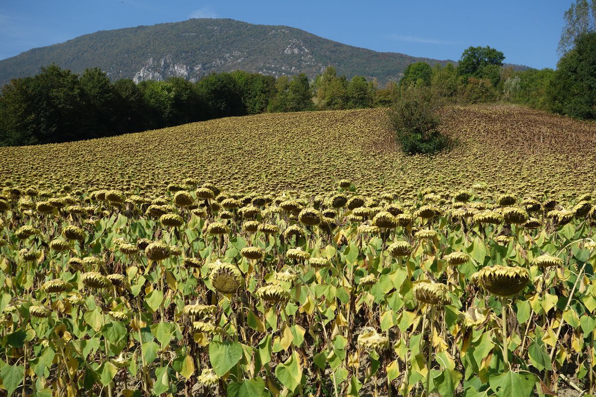 2016 Ride Day 152 - Pont-en-Royans to Valence