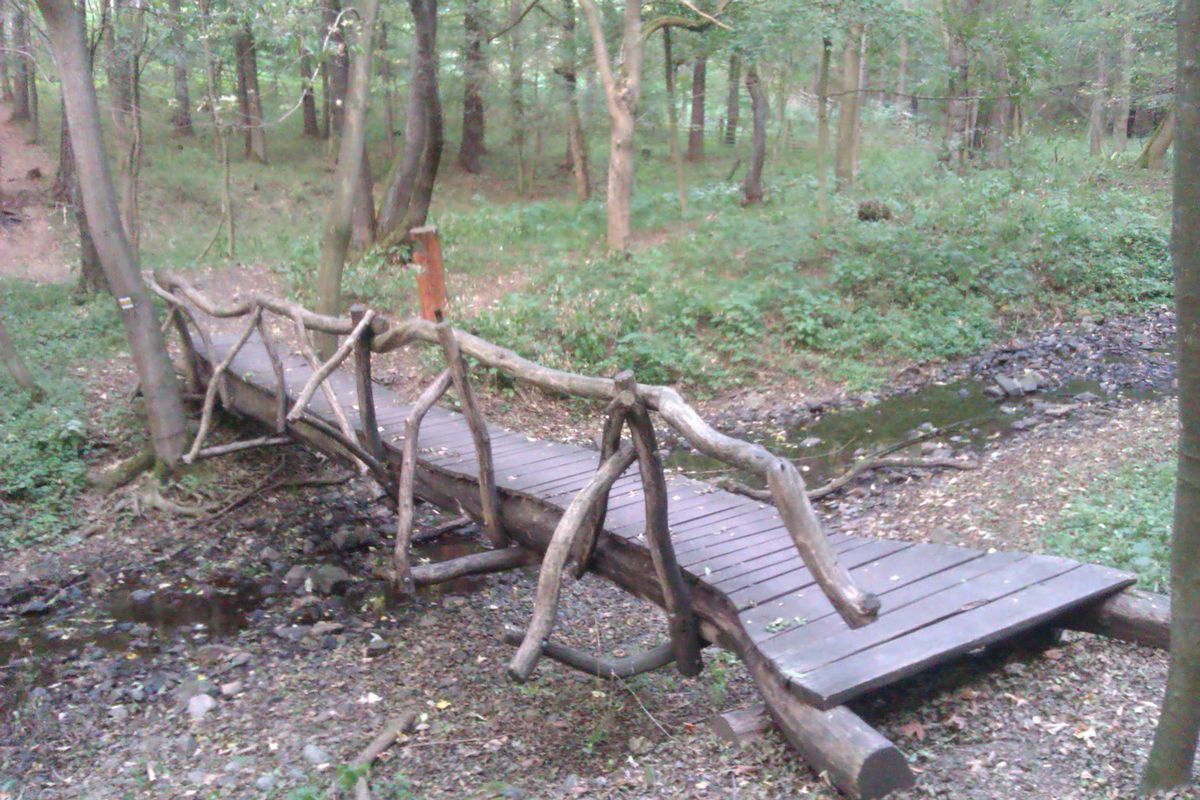 Run Bušohrad / Týřov