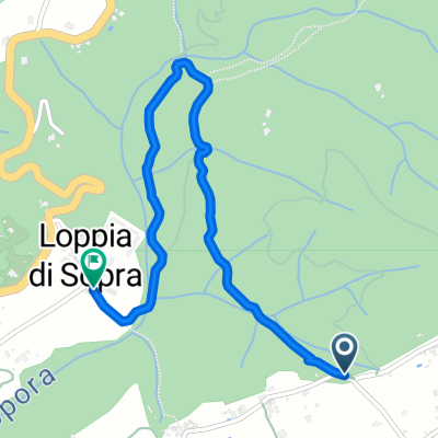 filecchio loppia