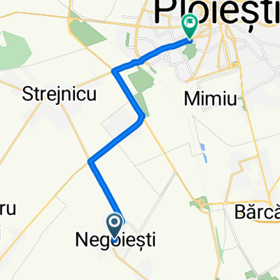 ride from (null) to Ploieşti