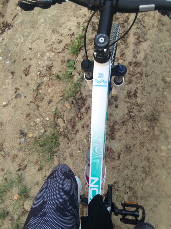 Baia Mare- Grosi- Satu Nou De Sus- Baia Mare