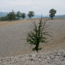 Photo 7 of the Bikemap route "Le Crete /Siena"