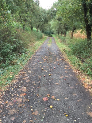 Highlight 38 along the Bikemap route "TPD3 Hruba Skala Jecin"