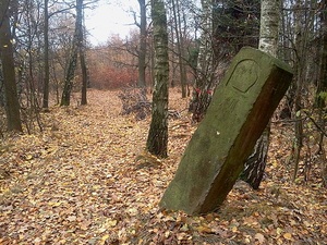 Hebe Bild 7 entlang der Bikemap-Route "Białogród i słupy graniczne" hervor Hebe Bild 7 entlang der Bikemap-Route "Białogród i słupy graniczne" hervor