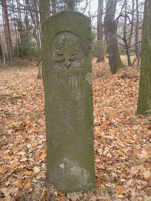 Hebe Bild 9 entlang der Bikemap-Route "Białogród i słupy graniczne" hervor Hebe Bild 9 entlang der Bikemap-Route "Białogród i słupy graniczne" hervor