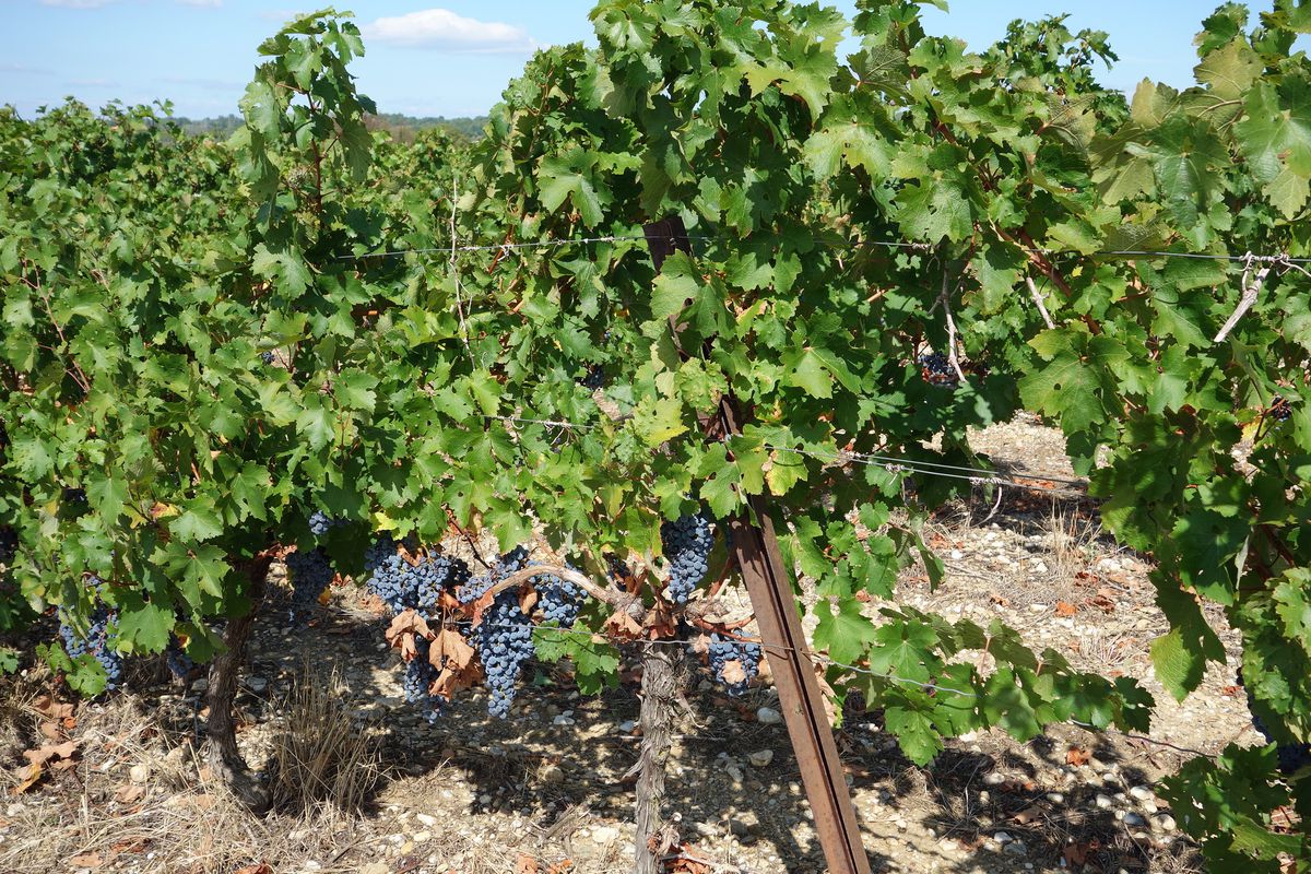 2016 Ride Day 156 - Nîmes to St-Jean-du-Gard