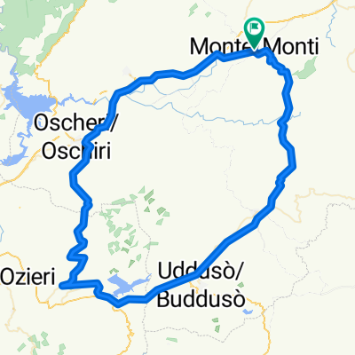 Monti