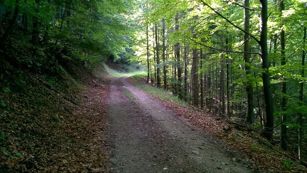 Foto 3: ubko77