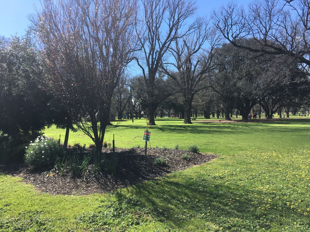 ride through Princes Hill