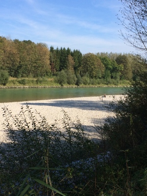 Destacado 1 en la ruta de Bikemap "Tettenhausen-Fridolfing-Tittmoning an der Salzach und zurück"