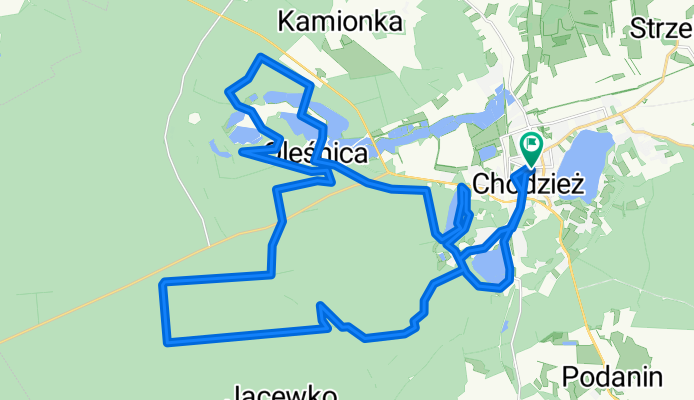 Chodzież Skandia Maraton Lang Team 2010 Mini
