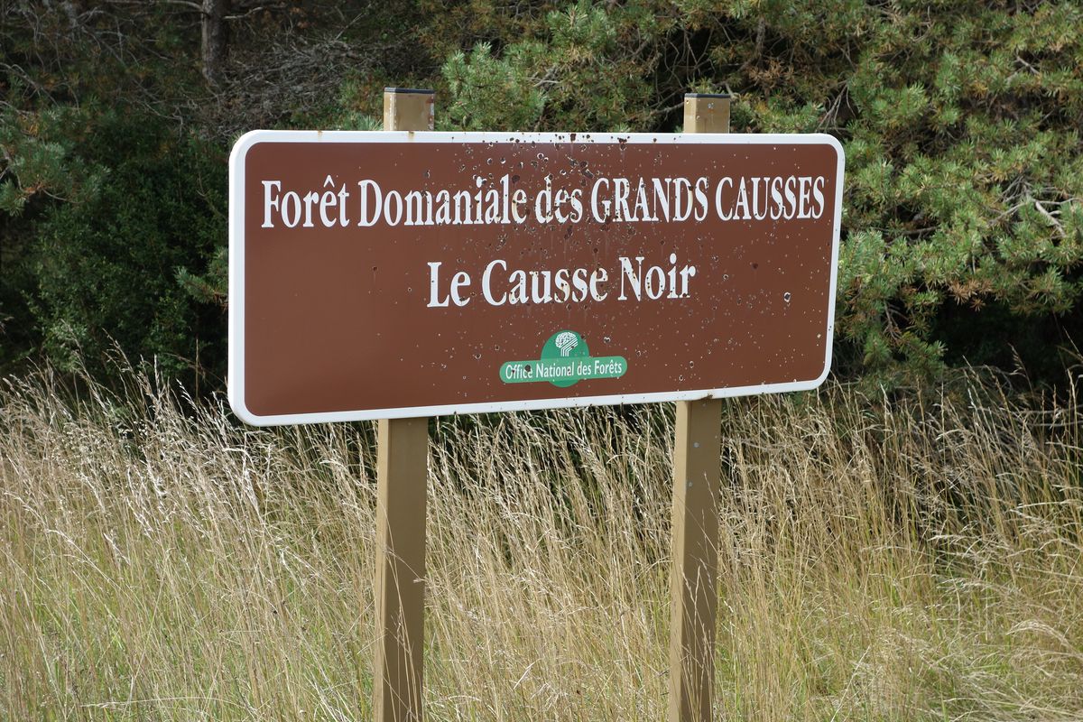 2016 Ride Day 163 - Boyne to Millau