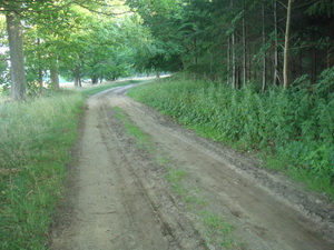 Highlight 16 along the Bikemap route "Swinoujscie - Mellenthin - Stolpe - Kaminke - Swinoujscie"