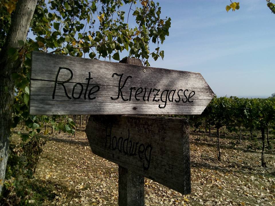 Kamptalradweg / Teilstück: Theiß - Plank