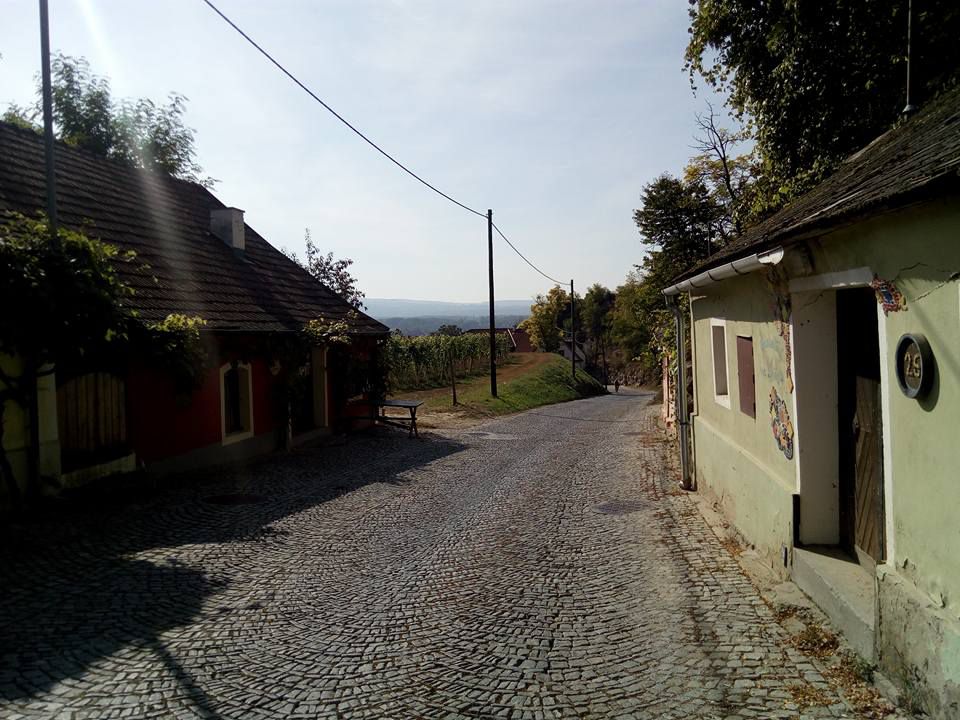 Kamptalradweg / Teilstück: Theiß - Plank