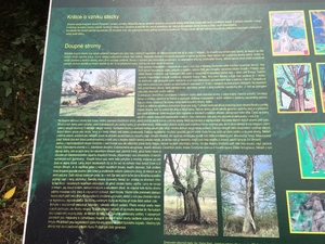 Point fort 24 sur lâitinĂ©raire Bikemap «âŻMW D4 Holic ValticeâŻÂ» Point fort 24 sur lâitinĂ©raire Bikemap «âŻMW D4 Holic ValticeâŻÂ»