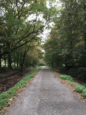 Highlight 22 along the Bikemap route "Cascine E Risaie Del Parco Sud"