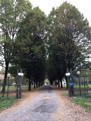 Highlight 23 along the Bikemap route "Cascine E Risaie Del Parco Sud"