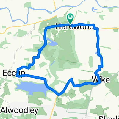 Harewood Short