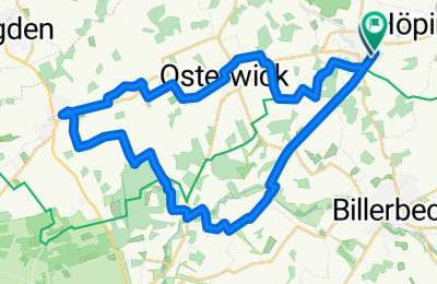 Route in der Bikemap App öffnen
