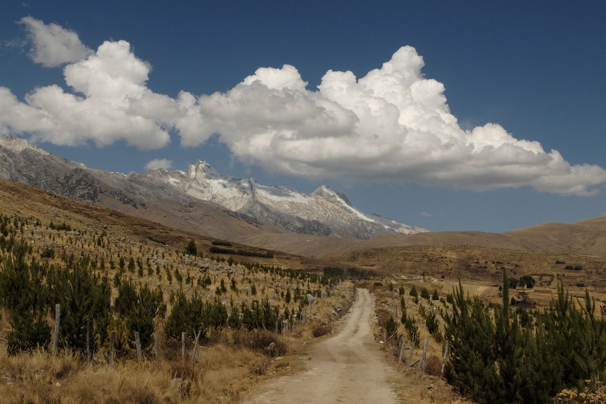 Huaraz - Willkawain - Pitec