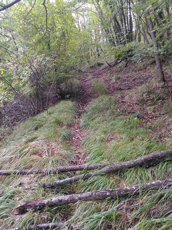 Monte Vignola cross 1
