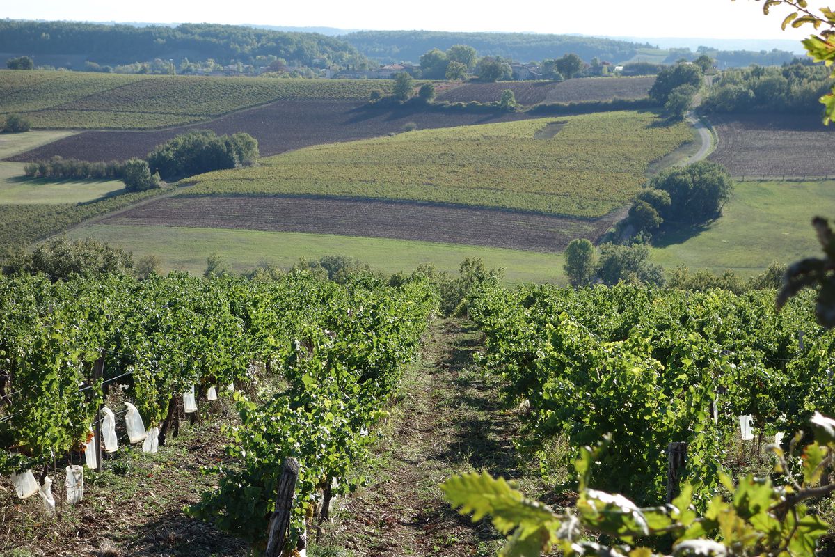 2016 Ride Day 169 - Villefranche-de-Rouergue to Montauban