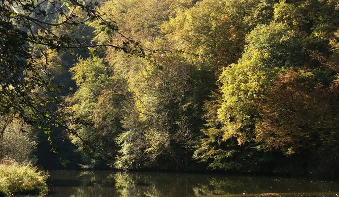 Zdjęcie 2 trasy Bikemap „Herbstausfahrt” Zdjęcie 2 trasy Bikemap „Herbstausfahrt”