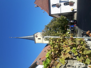 Highlight 1 along the Bikemap route "Lange Ausfahrt von Schweinfurt nach Würzburg"