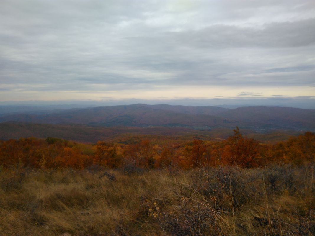 Pietroasele - Istrita