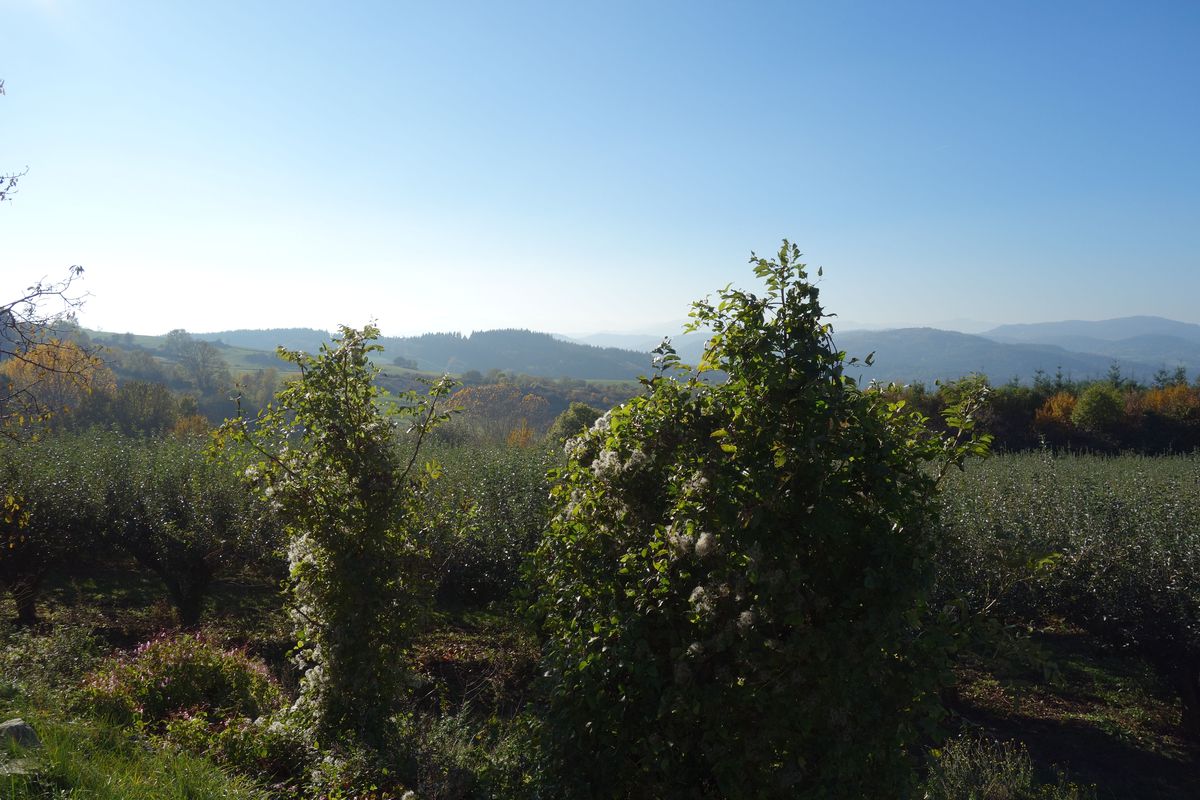 Les Corniches de l'Eyrieux