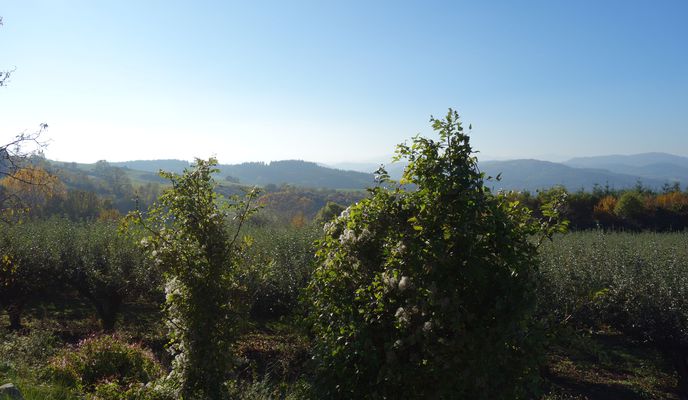 Photo 2 of the Bikemap route "Les Corniches de l'Eyrieux"