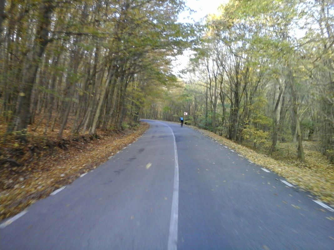 Greci-Valea Fagilor-Cetățuia-Greci