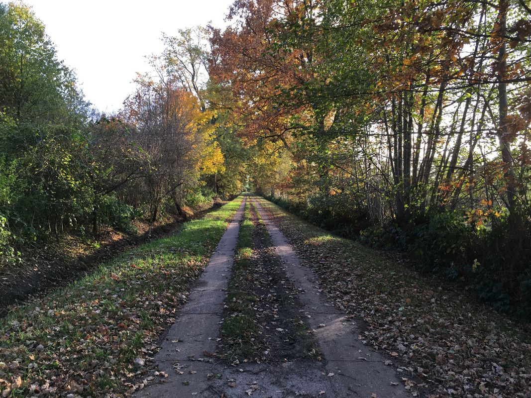 Zwischen Elbe und Haseldorfer Marsch