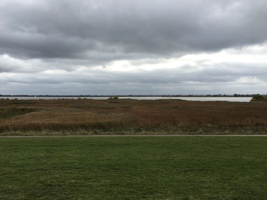 Zwischen Elbe und Haseldorfer Marsch