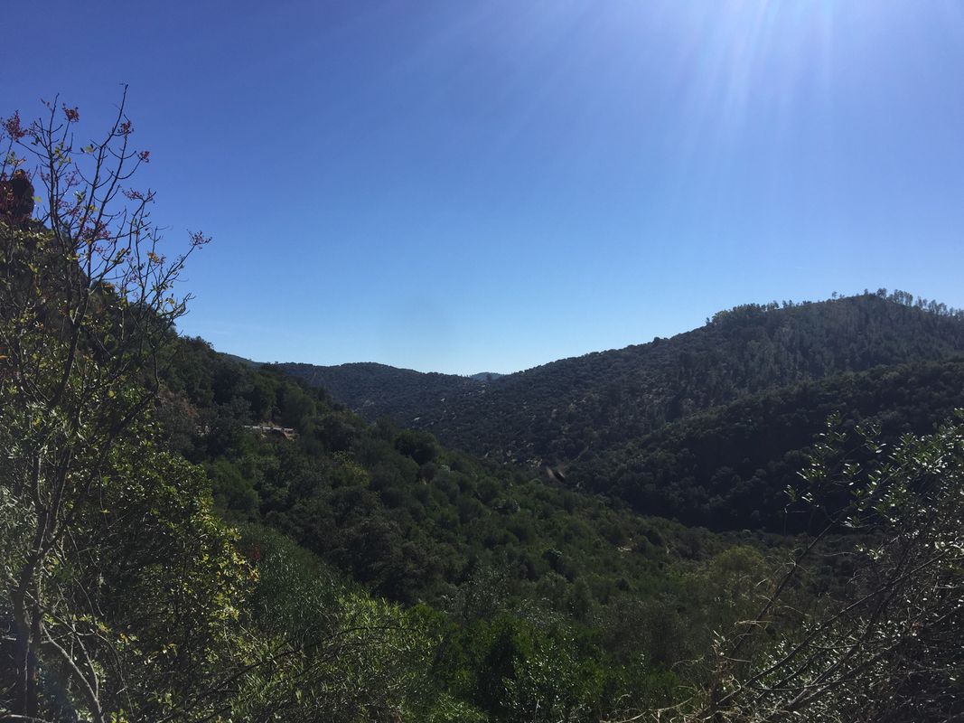 Cordoba To Villaviosa