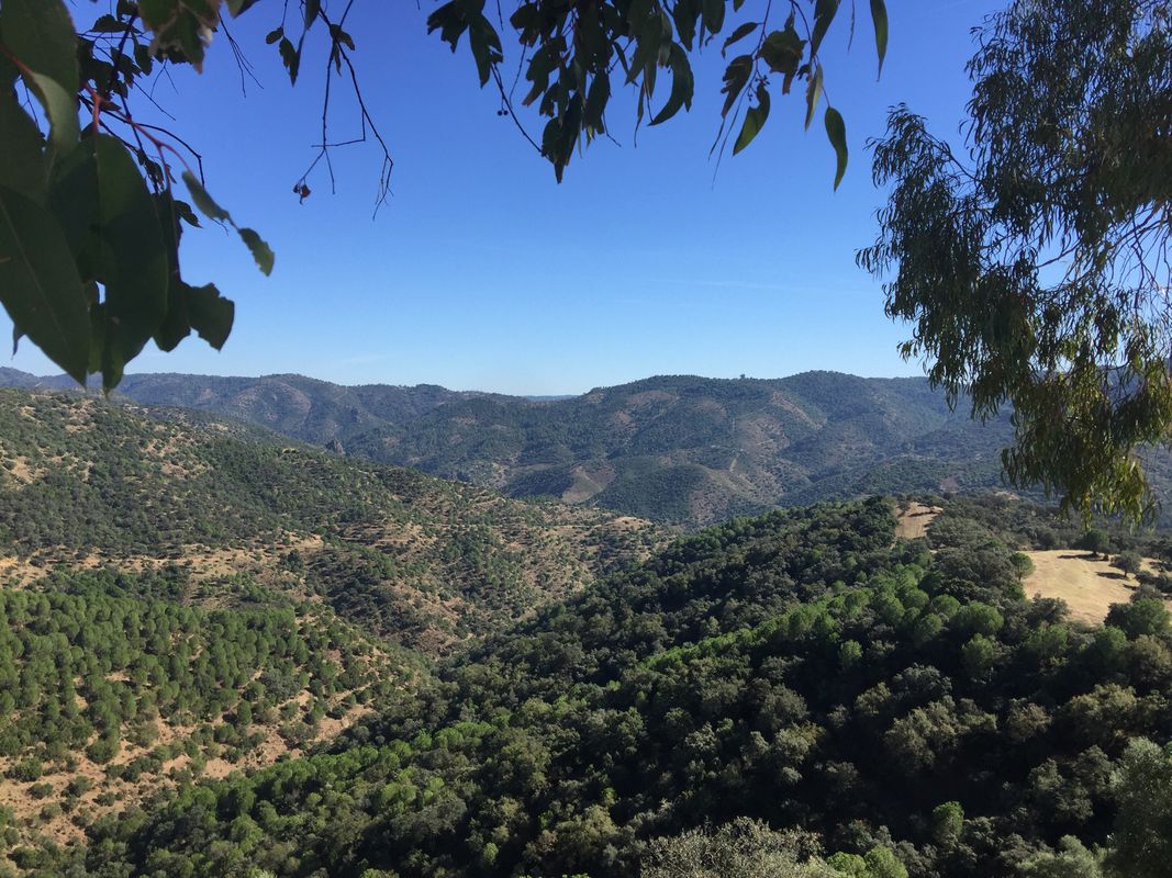 Cordoba To Villaviosa