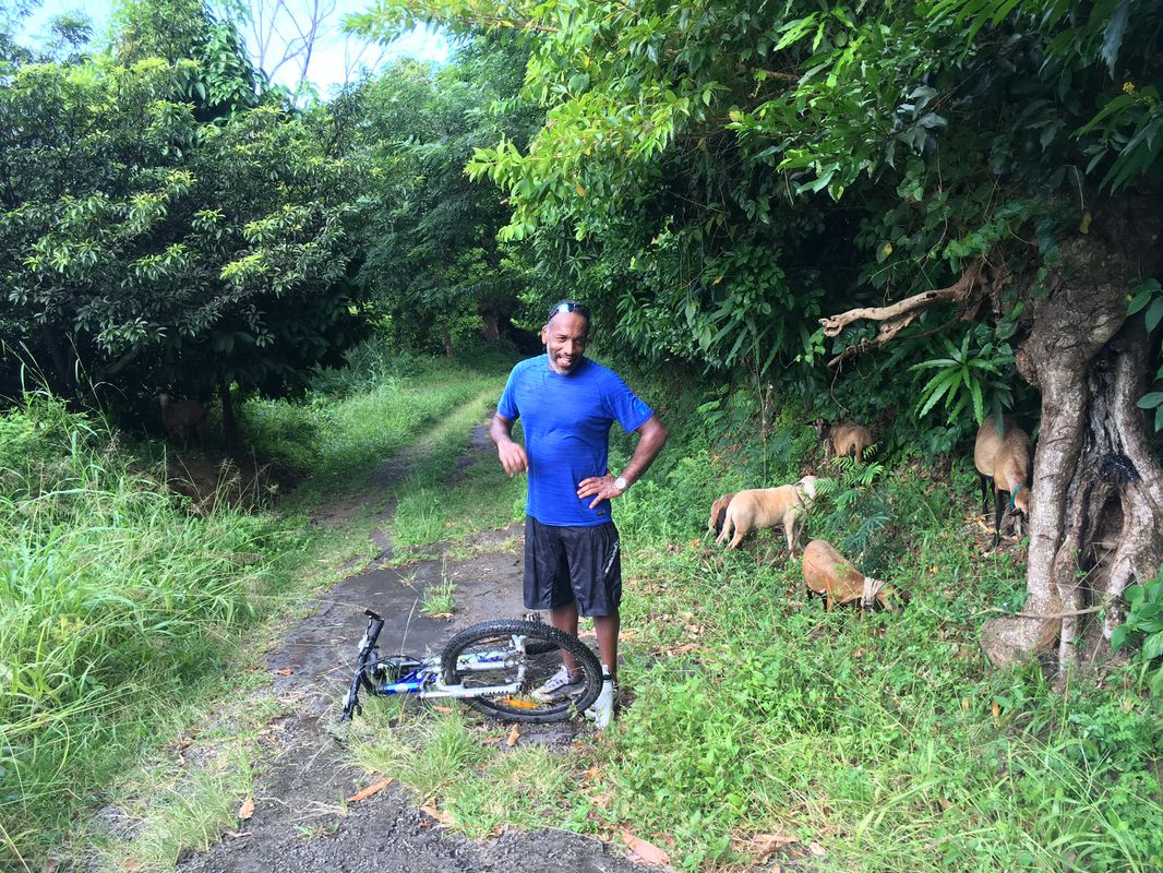 MTB circuit from Petite Anse Hotel