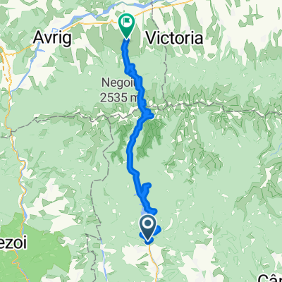 Arefu - Transfagarasan - Cartisoara