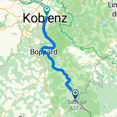 Rhine-Radweg-17-Bacharach-to-Koblenz