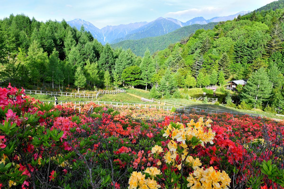 Miyada Highlands Stage
