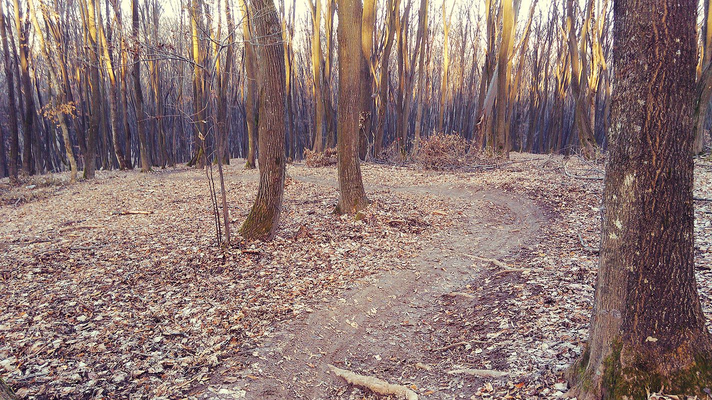 Crater - Traseul Step - DH - Advanced