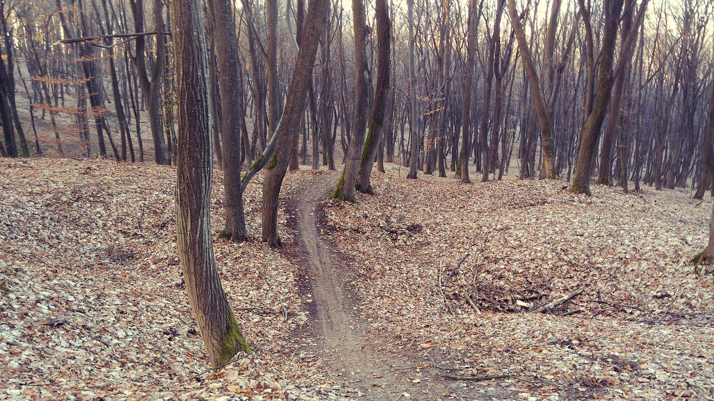 Crater - Traseul Step - DH - Advanced