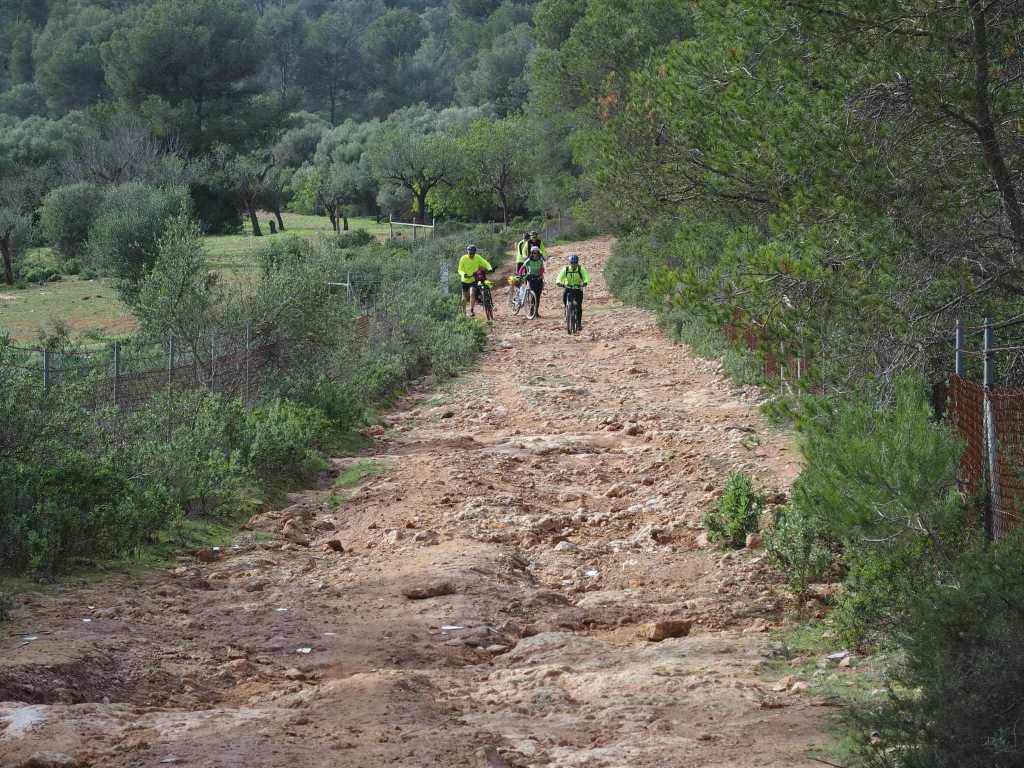 Mallorca: Palma-es Pil·larí-Sant Jordi-Llucmajor-s'Arenal-Palma