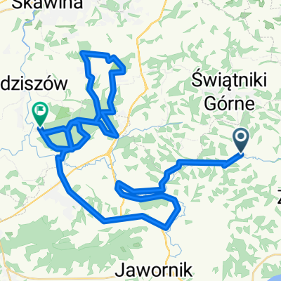 projekt Las Bronaczowa